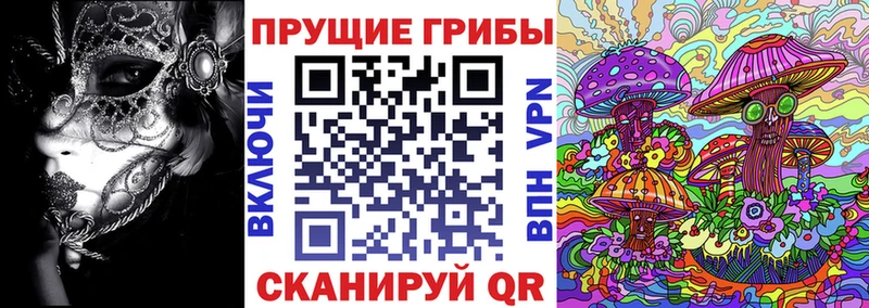 Купить  Мелеуз  Псилоцибиновые грибы Psilocybe 